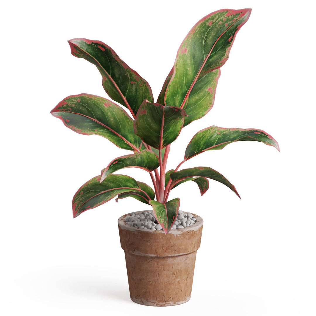 Plants Collection 765 3D Model – High Quality PBR Assets, FBX, OBJ - View 3