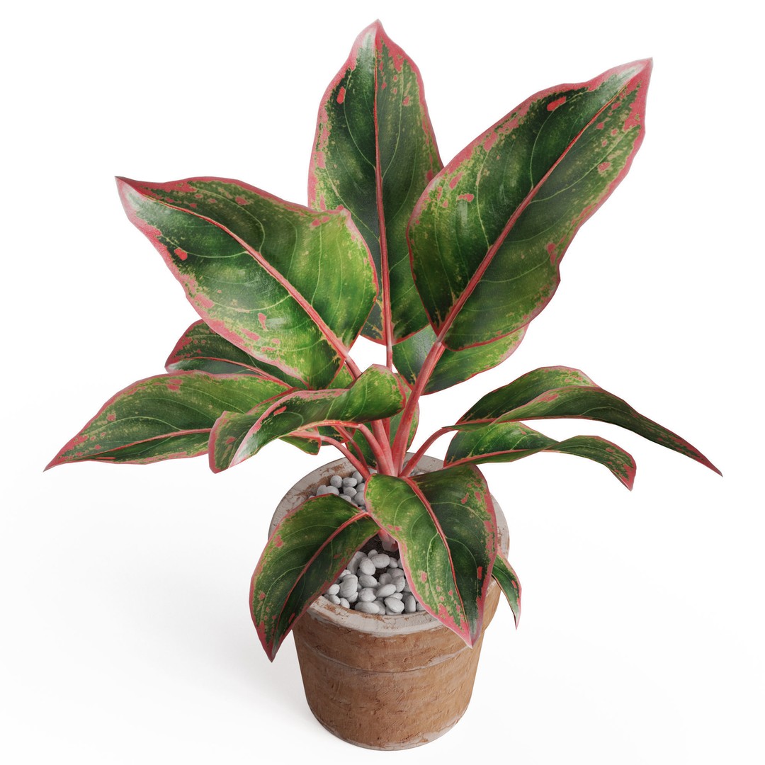 Plants Collection 765 3D Model – High Quality PBR Assets, FBX, OBJ - View 4