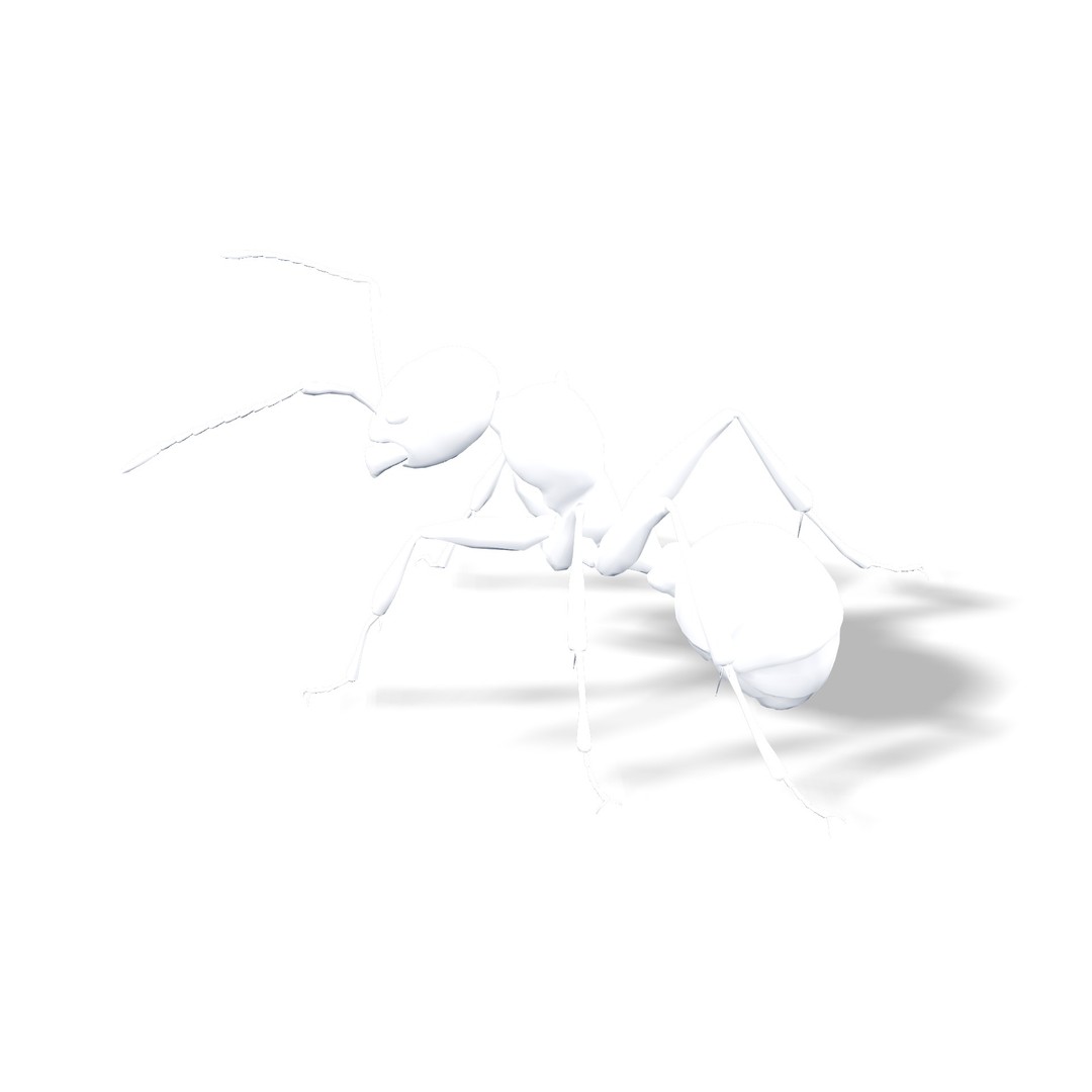 Animated Ant 3D Model – Low Poly Rigged Game Asset, FBX - View 10