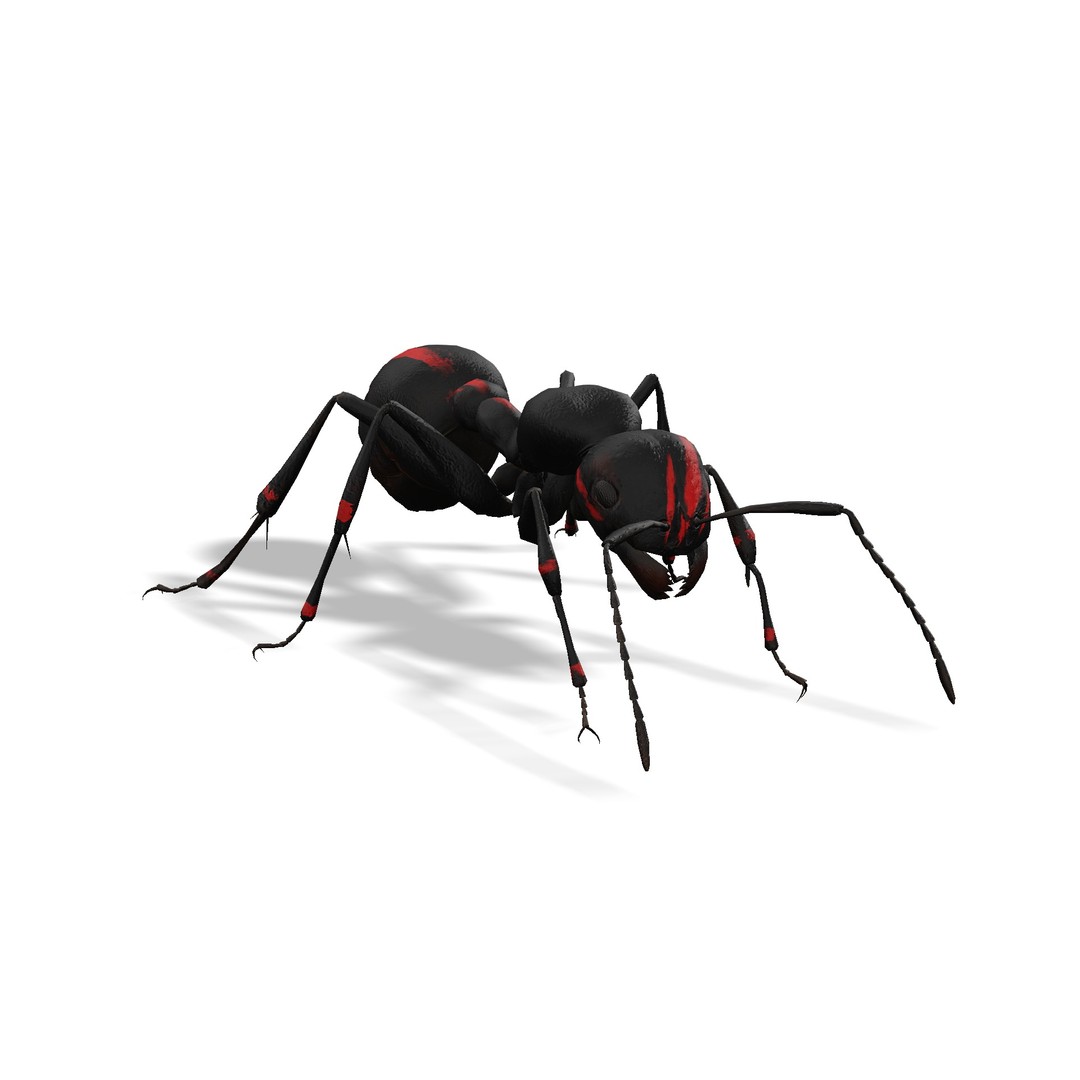 Animated Ant 3D Model – Low Poly Rigged Game Asset, FBX - View 15