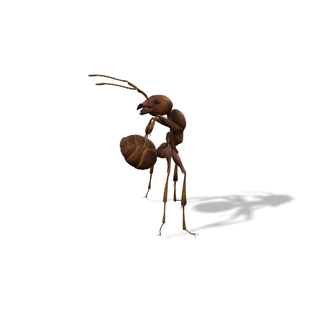 Animated Ant 3D Model – Low Poly Rigged Game Asset, FBX - View 5