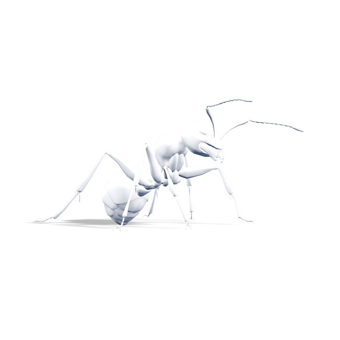 Animated Ant 3D Model – Low Poly Rigged Game Asset, FBX - View 9