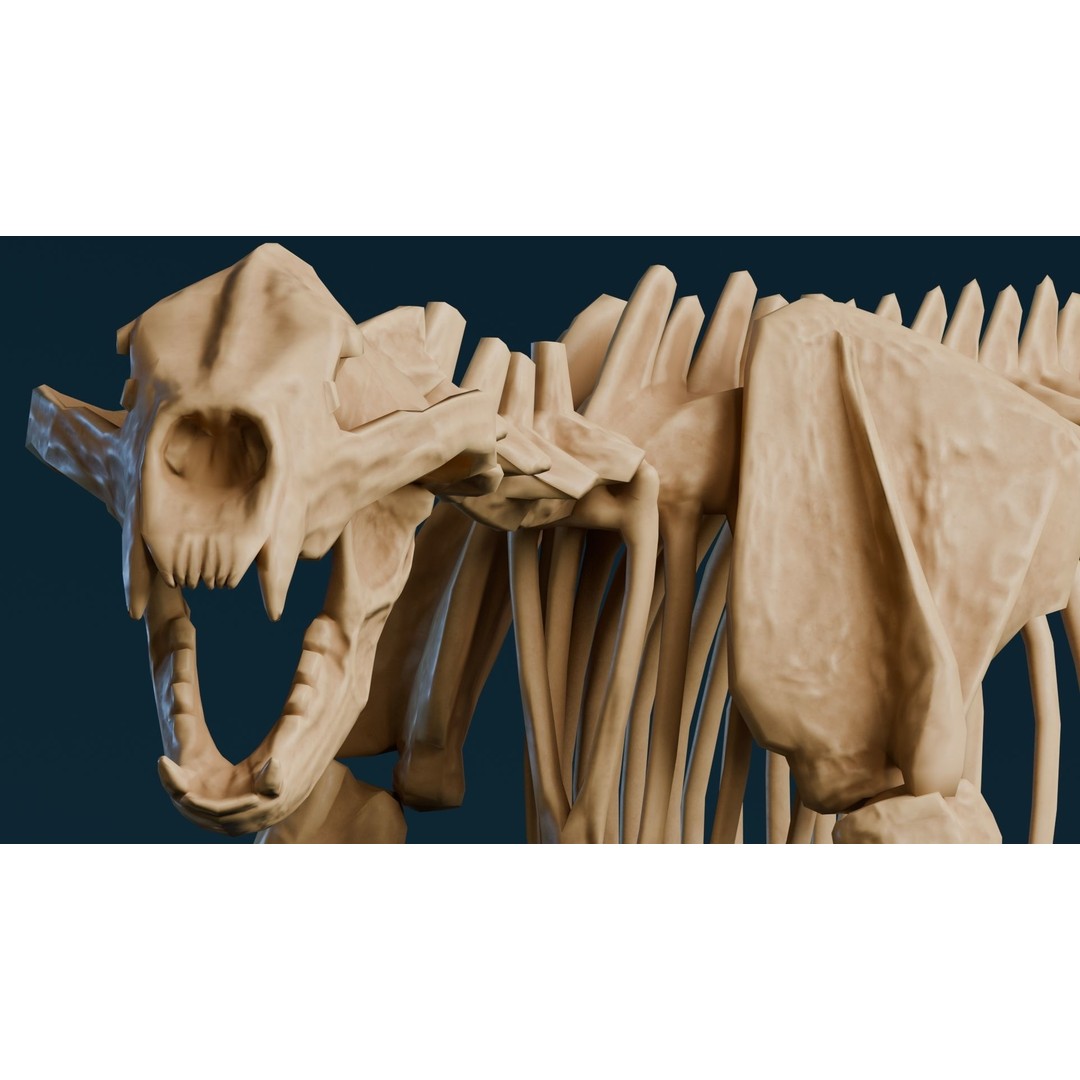 Short Faced Bear Fossil 3D Model – Realistic Low Poly Asset, FBX - View 3