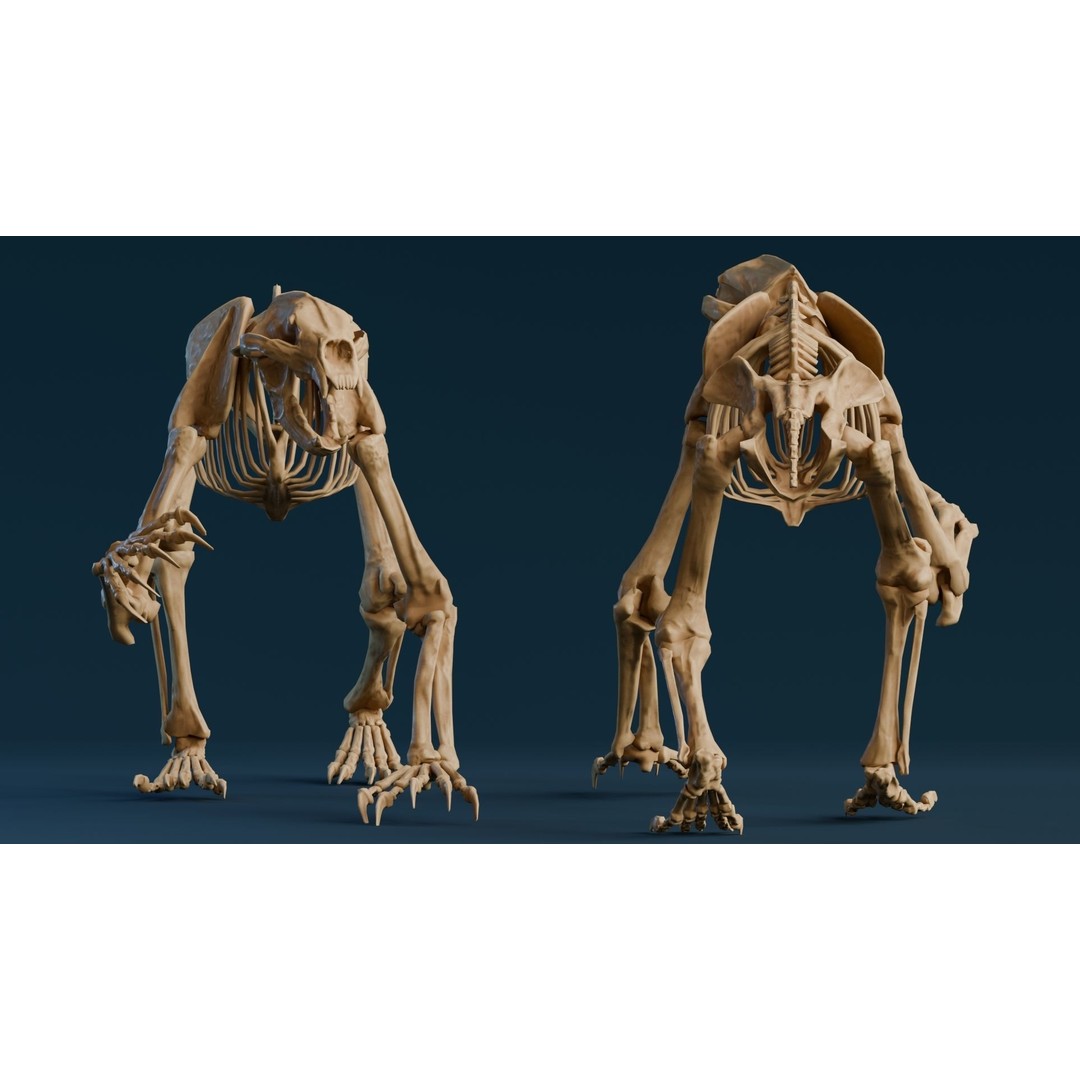 Short Faced Bear Fossil 3D Model – Realistic Low Poly Asset, FBX - View 5