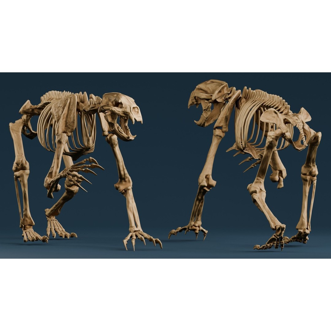 Short Faced Bear Fossil 3D Model – Realistic Low Poly Asset, FBX - View 6