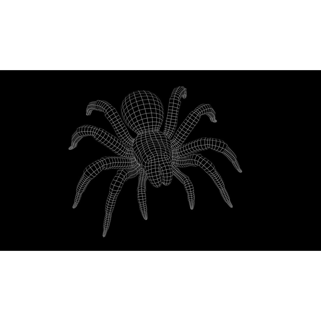Trapdoor Spider 3D Model – Low Poly Rigged Asset, FBX, OBJ - View 12