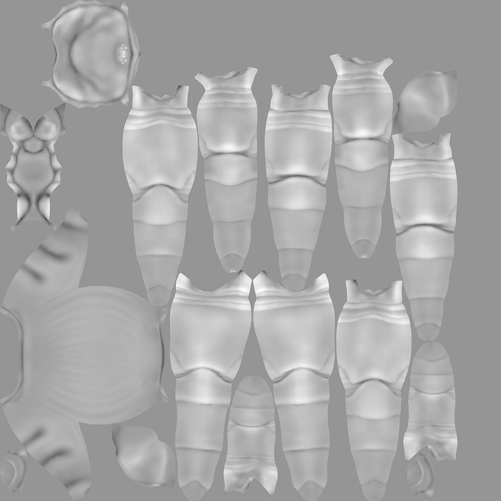 Trapdoor Spider 3D Model – Low Poly Rigged Asset, FBX, OBJ - View 14