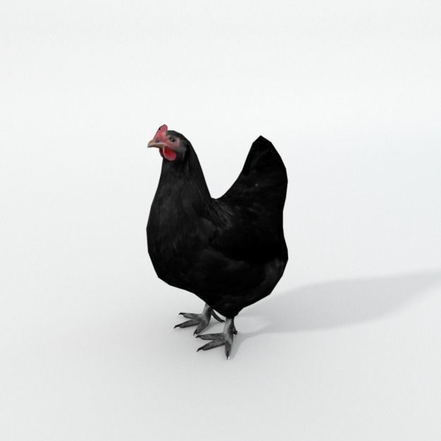 25 Farm Animal 3D Model – Low Poly Collection, FBX, OBJ, Game Ready - View 10