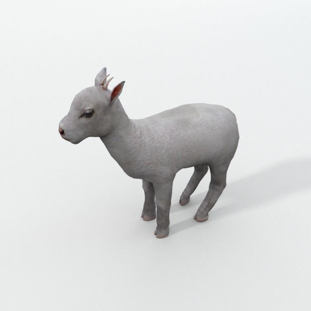 25 Farm Animal 3D Model – Low Poly Collection, FBX, OBJ, Game Ready - View 105