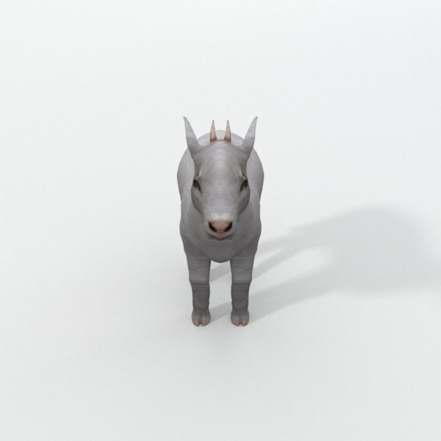 25 Farm Animal 3D Model – Low Poly Collection, FBX, OBJ, Game Ready - View 106