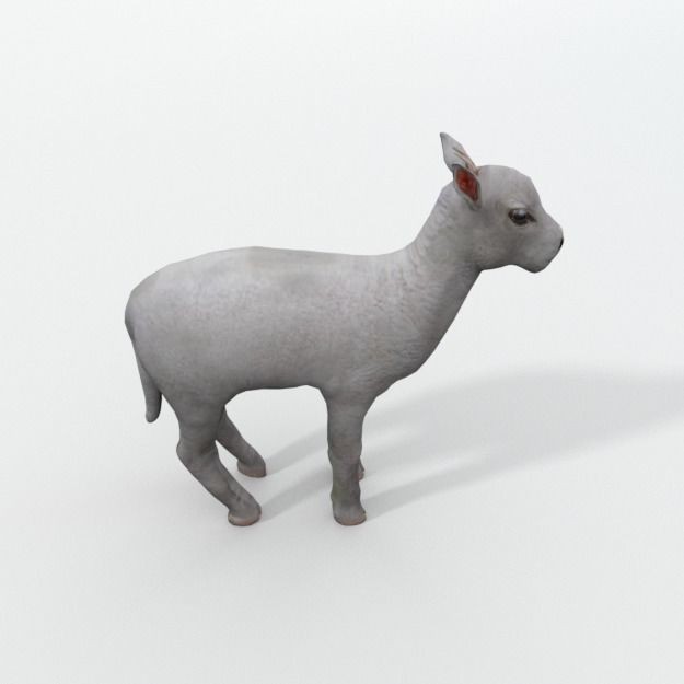 25 Farm Animal 3D Model – Low Poly Collection, FBX, OBJ, Game Ready - View 107