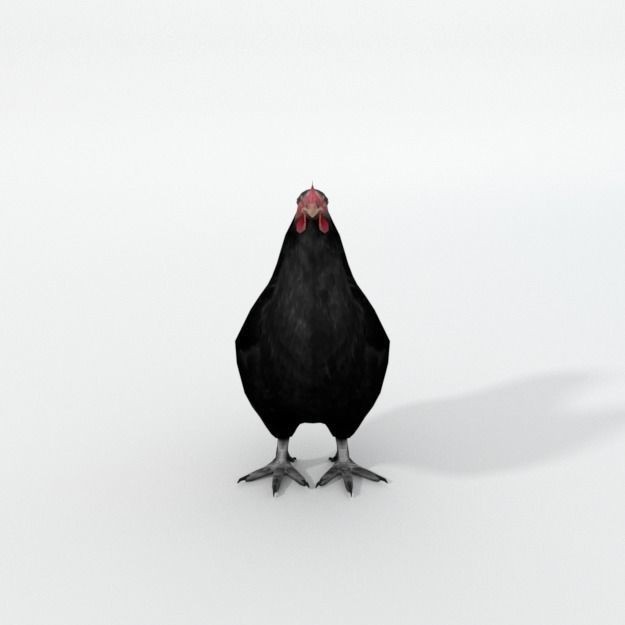 25 Farm Animal 3D Model – Low Poly Collection, FBX, OBJ, Game Ready - View 11