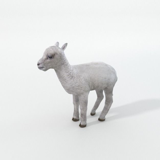 25 Farm Animal 3D Model – Low Poly Collection, FBX, OBJ, Game Ready - View 111