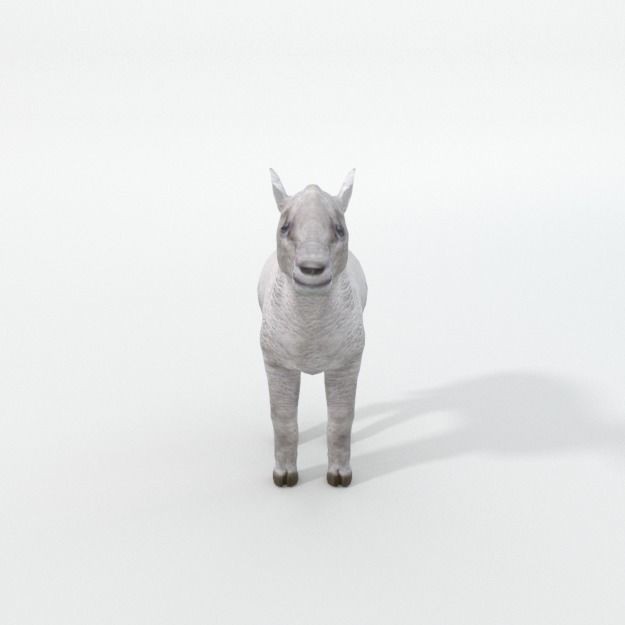 25 Farm Animal 3D Model – Low Poly Collection, FBX, OBJ, Game Ready - View 112