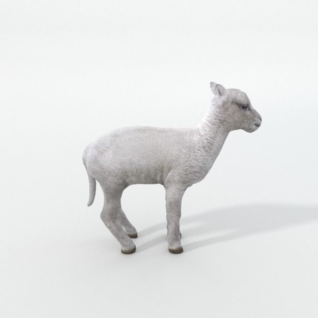 25 Farm Animal 3D Model – Low Poly Collection, FBX, OBJ, Game Ready - View 113
