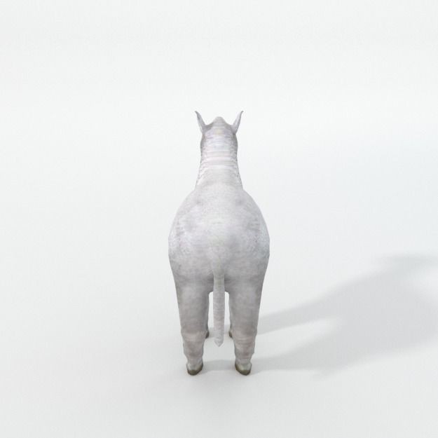 25 Farm Animal 3D Model – Low Poly Collection, FBX, OBJ, Game Ready - View 114
