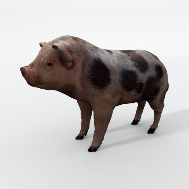 25 Farm Animal 3D Model – Low Poly Collection, FBX, OBJ, Game Ready - View 117