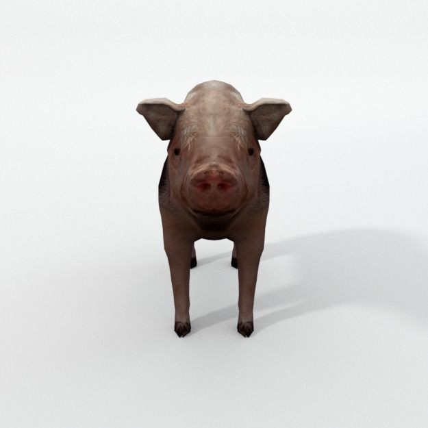 25 Farm Animal 3D Model – Low Poly Collection, FBX, OBJ, Game Ready - View 118