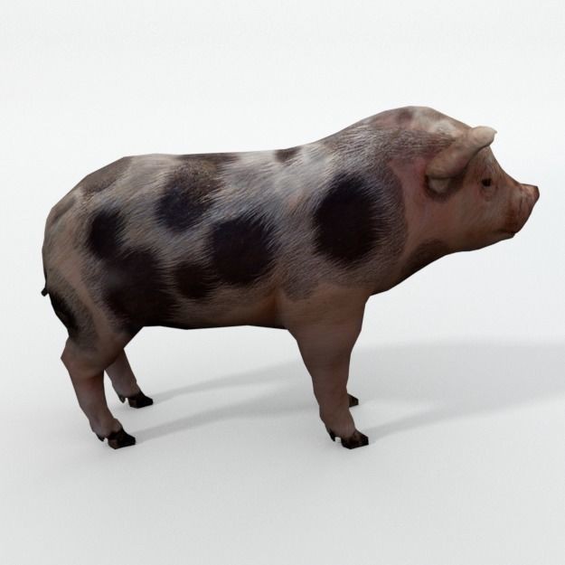 25 Farm Animal 3D Model – Low Poly Collection, FBX, OBJ, Game Ready - View 119