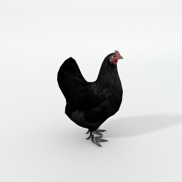25 Farm Animal 3D Model – Low Poly Collection, FBX, OBJ, Game Ready - View 12