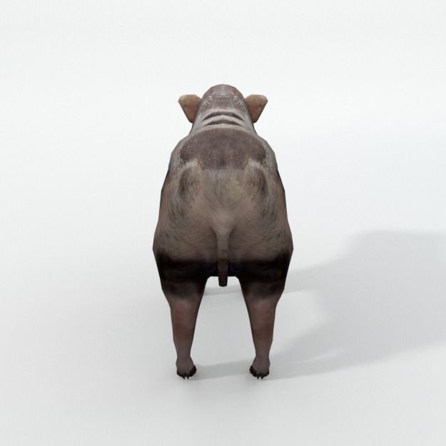 25 Farm Animal 3D Model – Low Poly Collection, FBX, OBJ, Game Ready - View 120