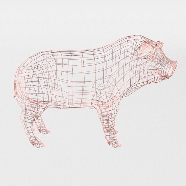 25 Farm Animal 3D Model – Low Poly Collection, FBX, OBJ, Game Ready - View 122