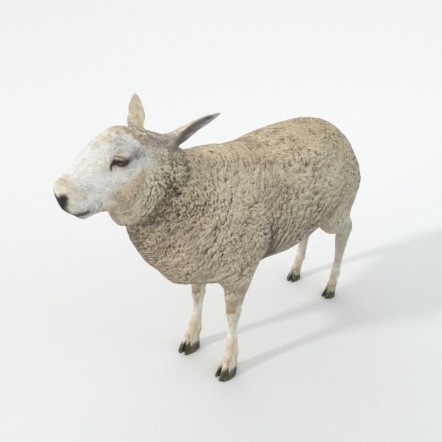 25 Farm Animal 3D Model – Low Poly Collection, FBX, OBJ, Game Ready - View 134