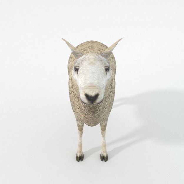 25 Farm Animal 3D Model – Low Poly Collection, FBX, OBJ, Game Ready - View 135