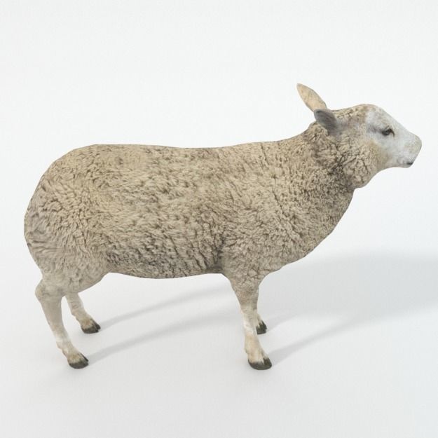 25 Farm Animal 3D Model – Low Poly Collection, FBX, OBJ, Game Ready - View 136