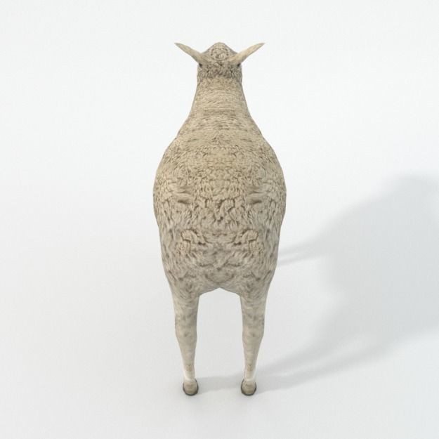 25 Farm Animal 3D Model – Low Poly Collection, FBX, OBJ, Game Ready - View 137