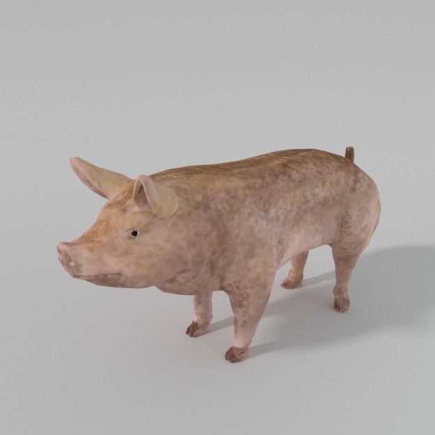 25 Farm Animal 3D Model – Low Poly Collection, FBX, OBJ, Game Ready - View 140