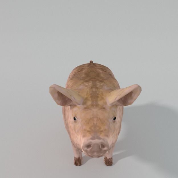 25 Farm Animal 3D Model – Low Poly Collection, FBX, OBJ, Game Ready - View 141