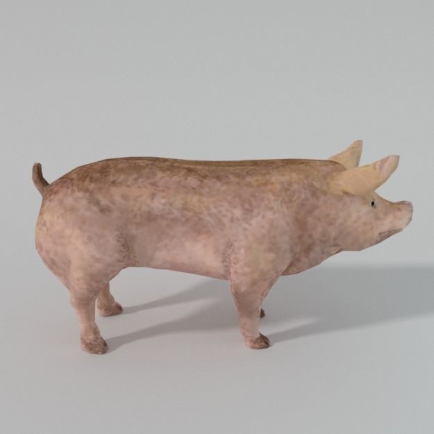 25 Farm Animal 3D Model – Low Poly Collection, FBX, OBJ, Game Ready - View 142