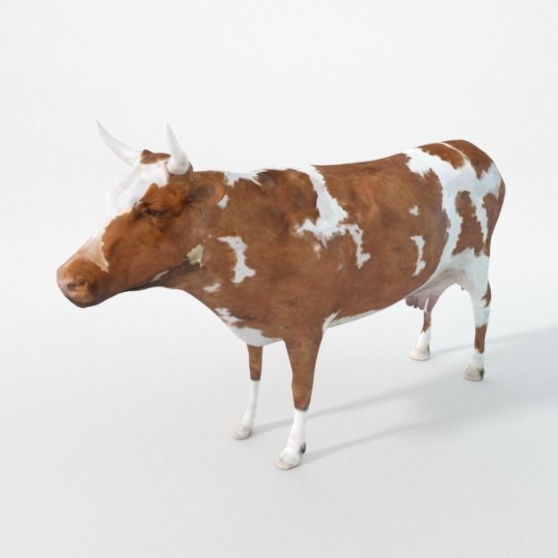 25 Farm Animal 3D Model – Low Poly Collection, FBX, OBJ, Game Ready - View 27