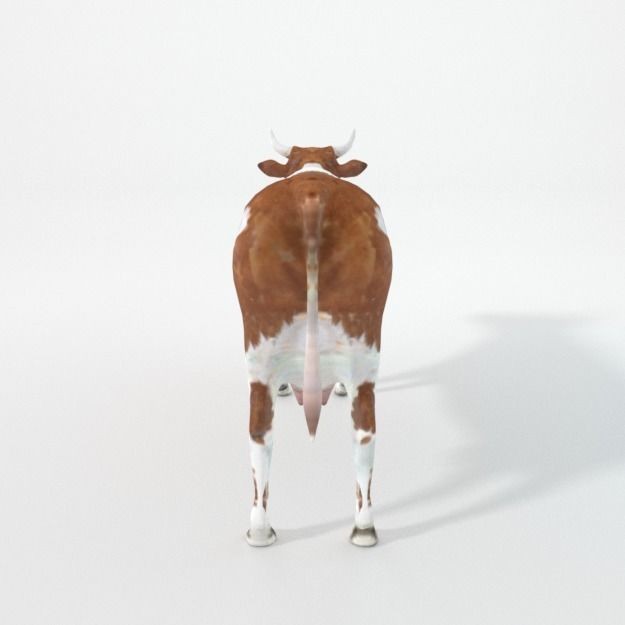 25 Farm Animal 3D Model – Low Poly Collection, FBX, OBJ, Game Ready - View 28