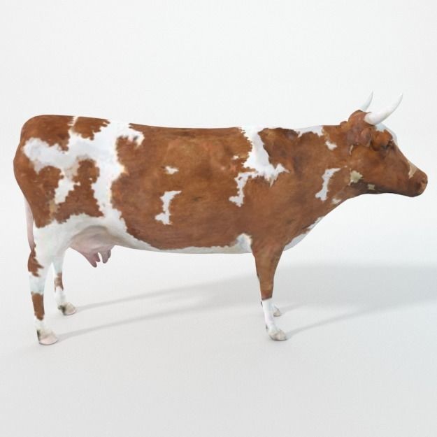 25 Farm Animal 3D Model – Low Poly Collection, FBX, OBJ, Game Ready - View 29