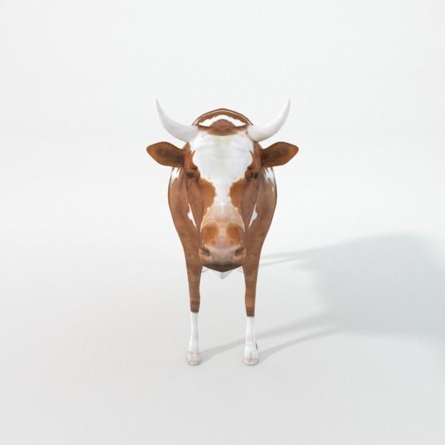 25 Farm Animal 3D Model – Low Poly Collection, FBX, OBJ, Game Ready - View 30