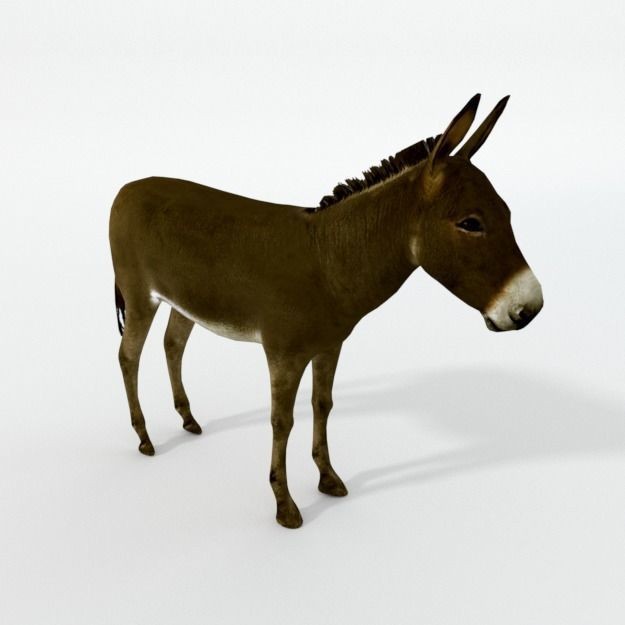 25 Farm Animal 3D Model – Low Poly Collection, FBX, OBJ, Game Ready - View 33