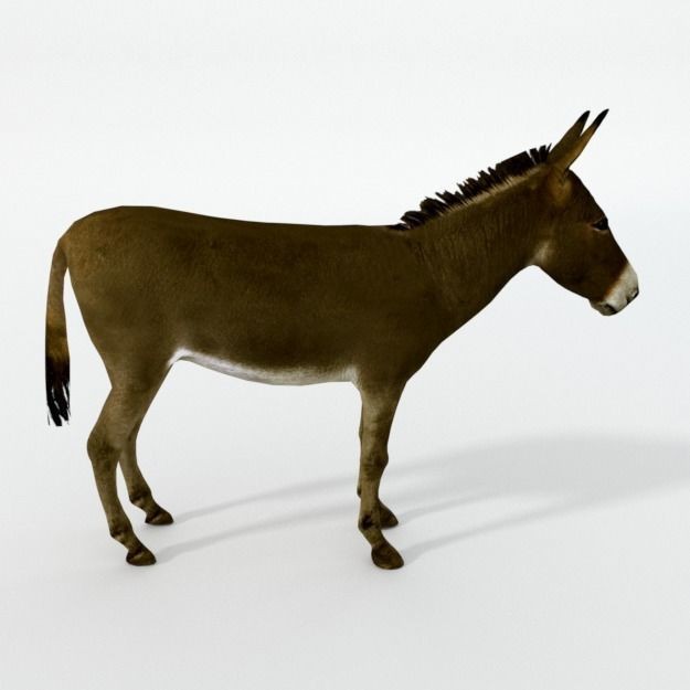 25 Farm Animal 3D Model – Low Poly Collection, FBX, OBJ, Game Ready - View 35