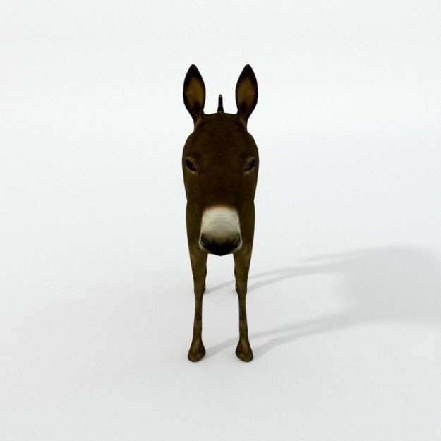 25 Farm Animal 3D Model – Low Poly Collection, FBX, OBJ, Game Ready - View 36