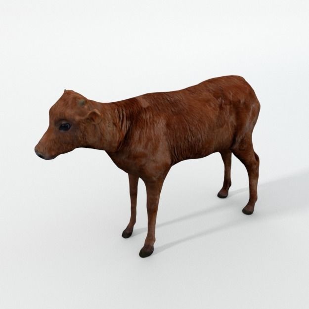 25 Farm Animal 3D Model – Low Poly Collection, FBX, OBJ, Game Ready - View 45