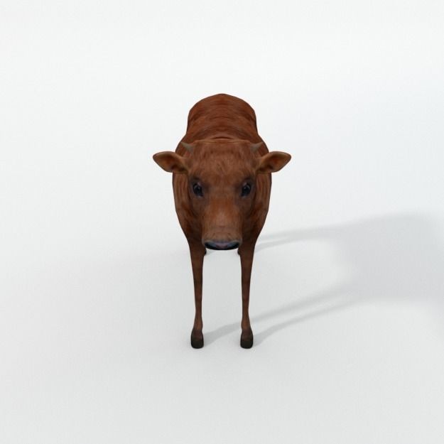 25 Farm Animal 3D Model – Low Poly Collection, FBX, OBJ, Game Ready - View 46