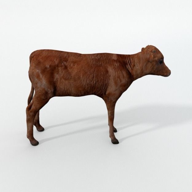 25 Farm Animal 3D Model – Low Poly Collection, FBX, OBJ, Game Ready - View 47