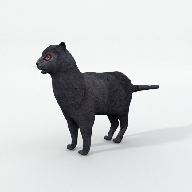 25 Farm Animal 3D Model – Low Poly Collection, FBX, OBJ, Game Ready - View 51