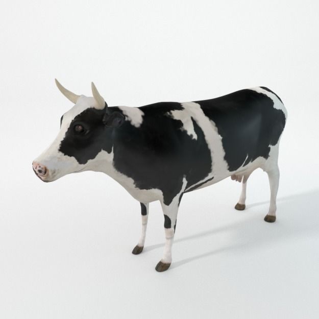 25 Farm Animal 3D Model – Low Poly Collection, FBX, OBJ, Game Ready - View 57