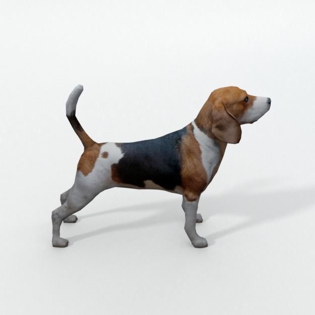25 Farm Animal 3D Model – Low Poly Collection, FBX, OBJ, Game Ready - View 6