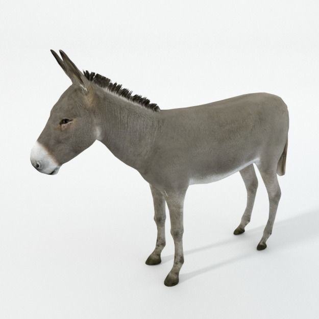 25 Farm Animal 3D Model – Low Poly Collection, FBX, OBJ, Game Ready - View 68