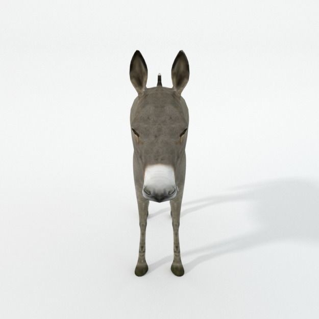 25 Farm Animal 3D Model – Low Poly Collection, FBX, OBJ, Game Ready - View 69