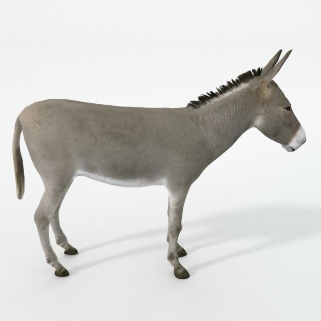 25 Farm Animal 3D Model – Low Poly Collection, FBX, OBJ, Game Ready - View 70