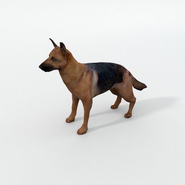 25 Farm Animal 3D Model – Low Poly Collection, FBX, OBJ, Game Ready - View 80